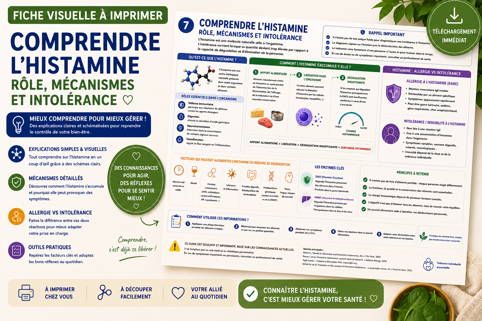 Fiche visuelle comprendre l’histamine et ses mécanismes